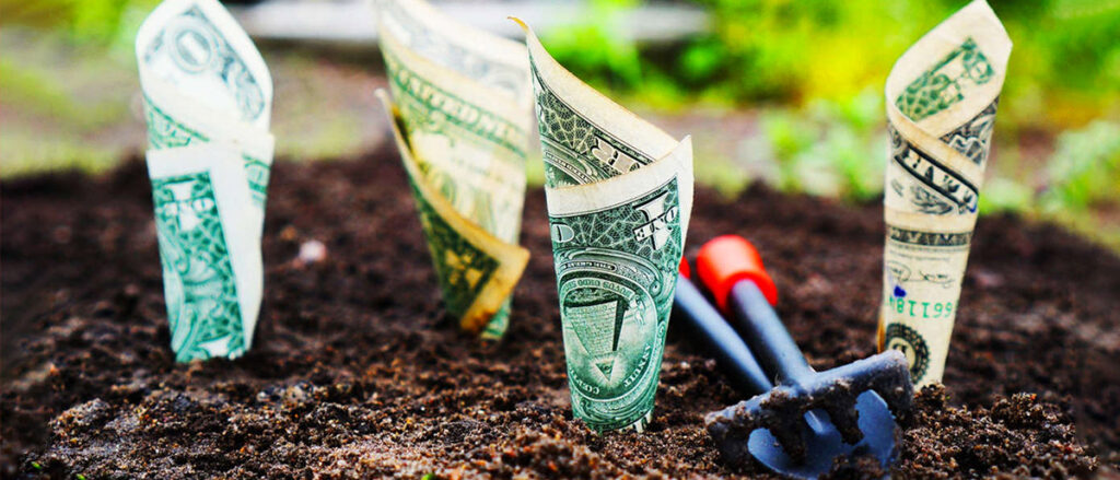 investimento-ou-gasto-plantando-dinheiro
